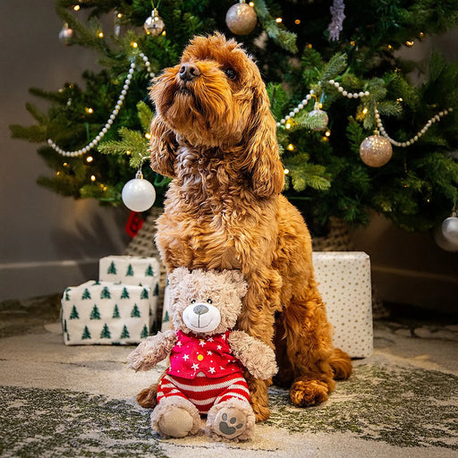 Rosewood Christmas Buddy Bear
