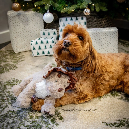 Rosewood Christmas Dasher Dino Dog Toy
