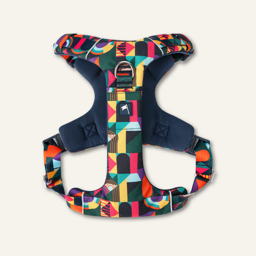 Twiggy Tags Adventure Harness Aurora 2.0