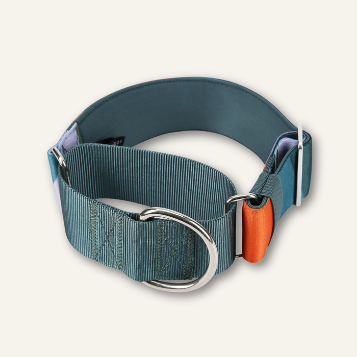 Twiggy Tags Martingale Collar