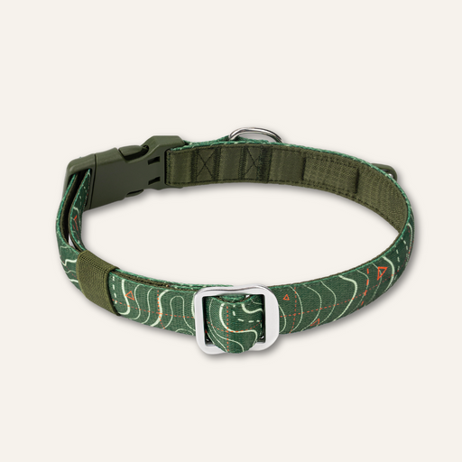 Twiggy Tags Apex Collar Nomad