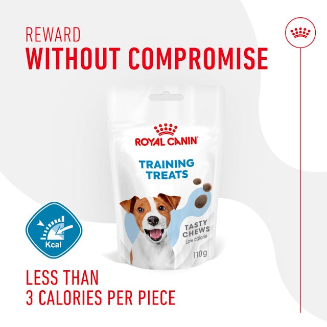 Royal Canin Training Treat 110g
