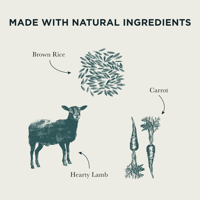 Burns Hearty Lamb, Vegetables & Brown Rice Wet Dog Food