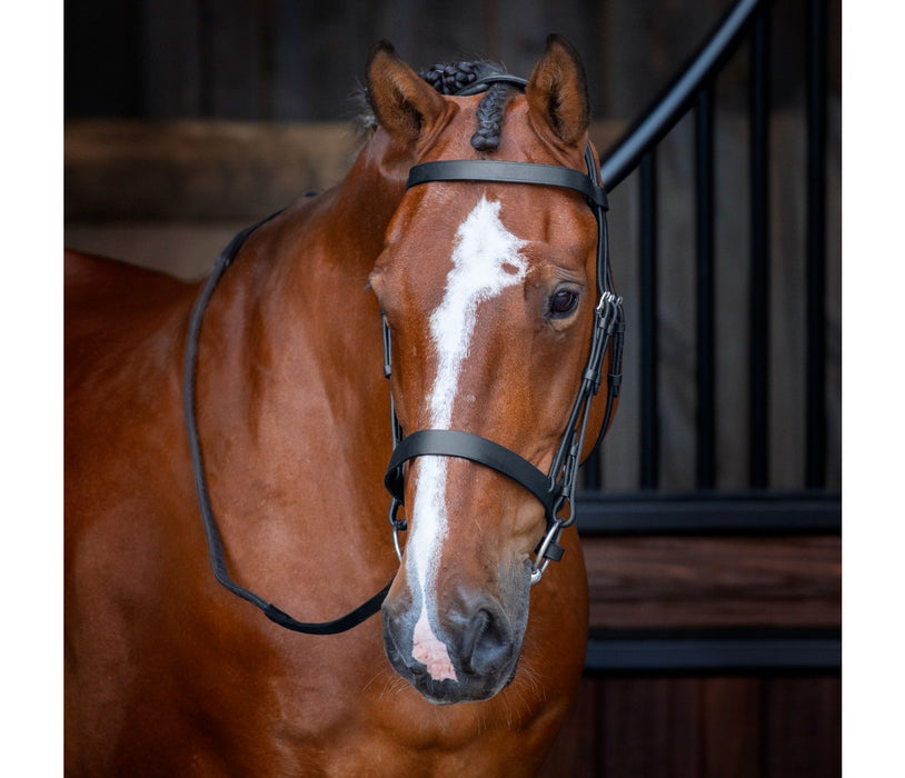 Velociti Hunter Cavesson Bridle