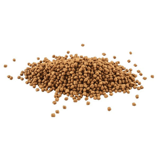 Tetra Goldfish Food Sticks