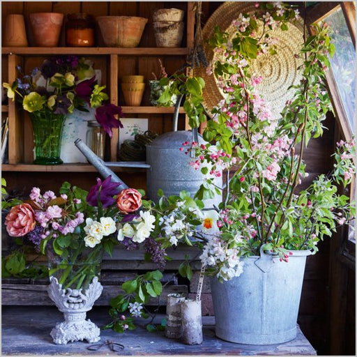 Potting Shed Spring Blossom Card