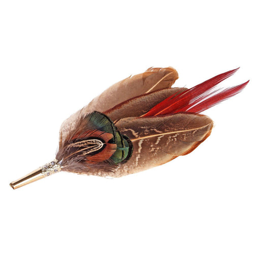 Lady Amhurst Pheasant Hat Mount 15cm Approx
