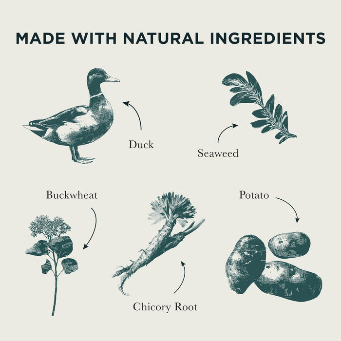 Burns Grain Free Duck & Potato Dry Dog Food