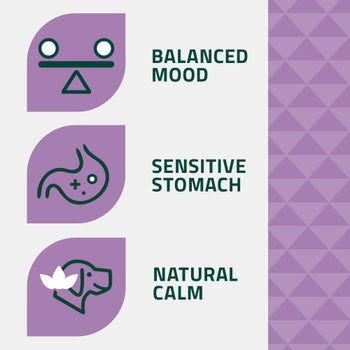 Arden Grange Adult Calming Dog