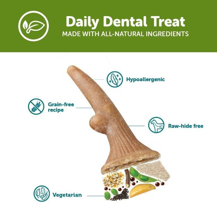 Whimzees Antler Small Dog 24pk