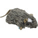 Country Rat Dog Toy