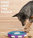 Outward Hound Interactive Puzzle Twister