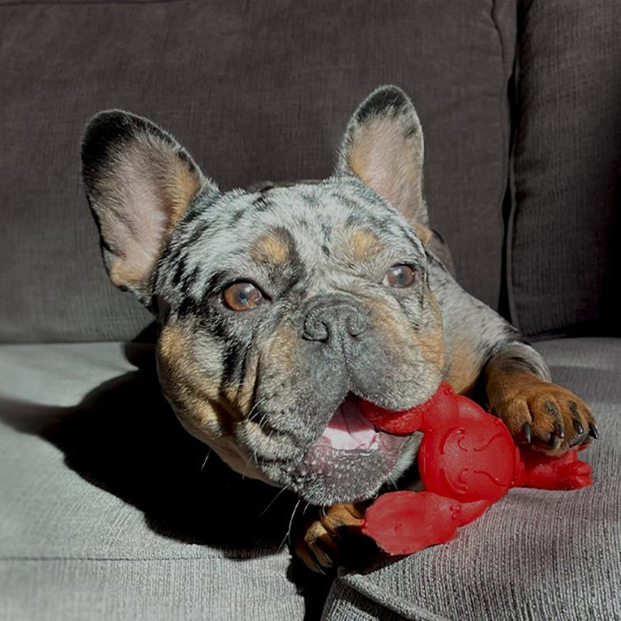 NylaBone Extreme Lobster Filet Mignon