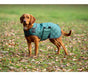 Digby & Fox Heritage Dog Coat Forest