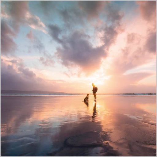 Dog Walker Godrevy Beach Card