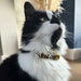 Ancol Sunflower Cat Collar