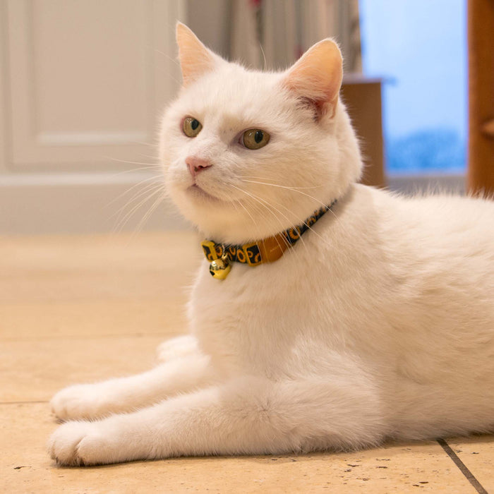 Ancol Sunflower Cat Collar