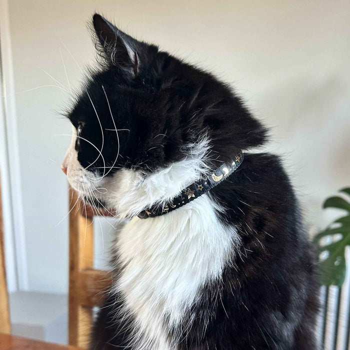 Ancol Moon & Stars Cat Collar