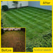 Quality Hard Wearing Lawn Seed 2kg