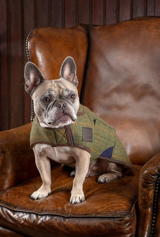 Digby & Fox Tweed Dog Coat Navy