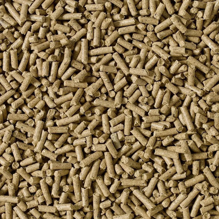 Saracen Condition-Improver Cubes 20kg