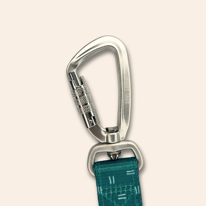 Twiggy Tags Adventure Close Control Lead Tranquil