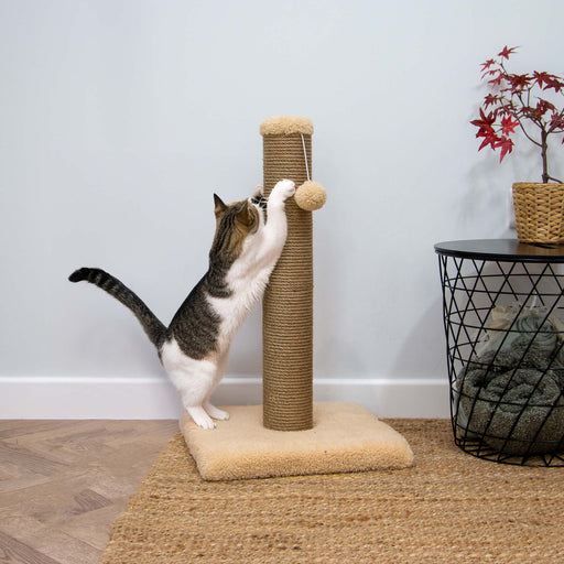 Teddy Fleece Adjustable Scratch Post Sand