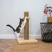 Teddy Fleece Adjustable Scratch Post Sand