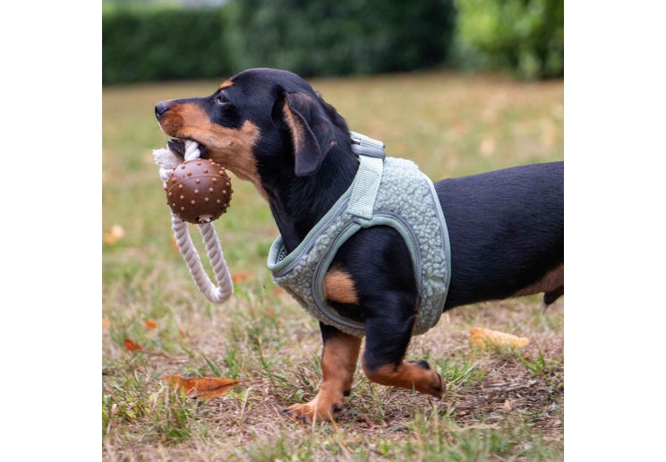 Small Bite Teddy Harness Sage