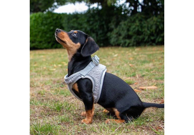 Ancol Small Bite Teddy Harness Pebble