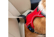 Viva Travel Harness Red
