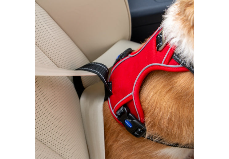 Viva Travel Harness Red