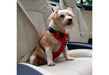 Viva Travel Harness Red