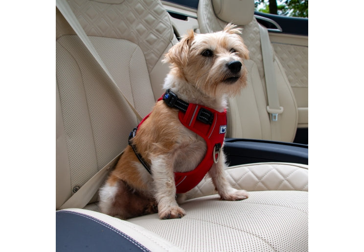 Viva Travel Harness Red