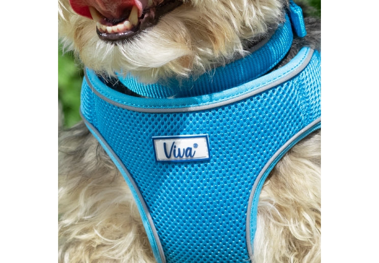 Viva Step-in Harness Blue