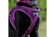 Viva Step-in Harness Purple