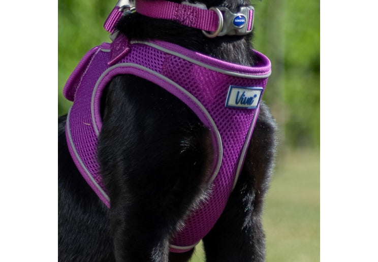 Viva Step-in Harness Purple
