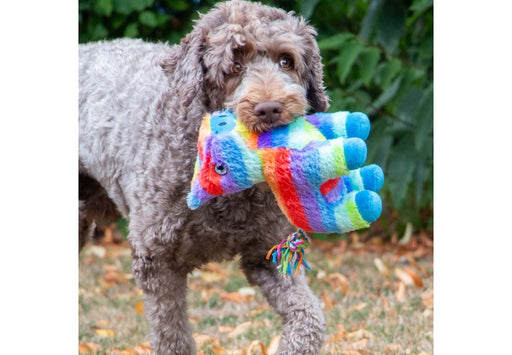 Pawty Pinata Dog Toy