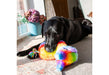 Pawty Pinata Dog Toy