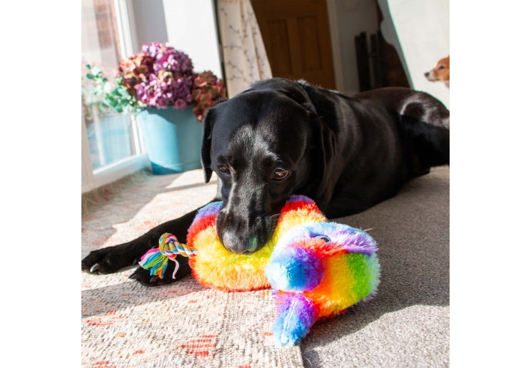 Pawty Pinata Dog Toy