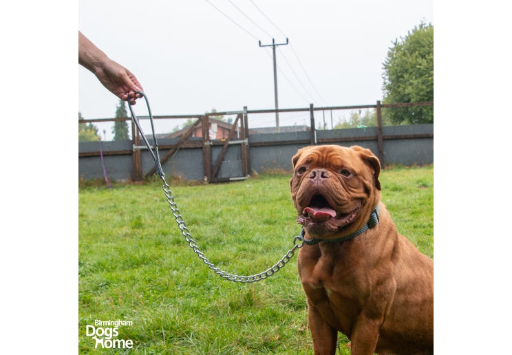 Extreme+ Extra Heavy Chain Lead
