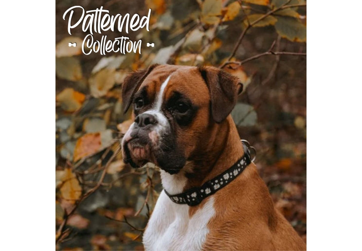 Ancol Black Daisy Collar