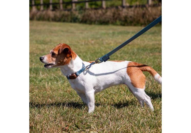 Ancol Heritage Lead Blue