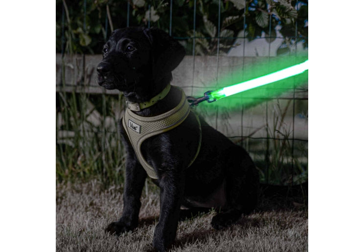 Ancol Hi-Vis Flashing Lead Attachment
