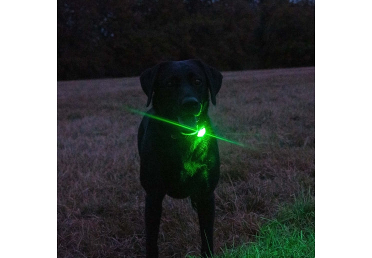 Ancol Rechargaeble Blinker Green