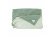 Small Bite Teddy Bear Blanket Sage