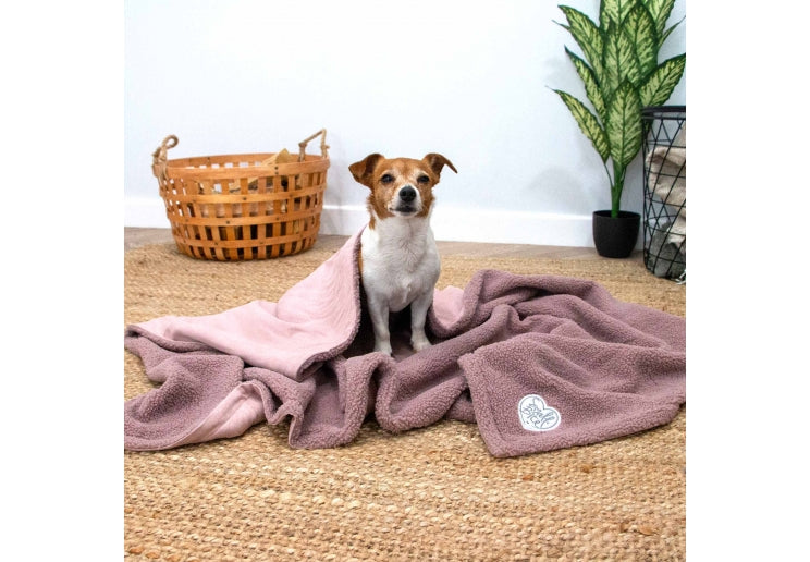 Small Bite Teddy Bear Blanket