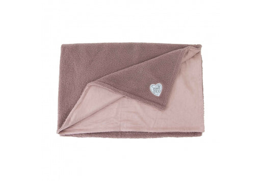 Small Bite Teddy Bear Blanket Rose