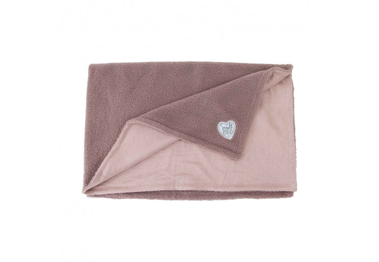 Small Bite Teddy Bear Blanket Rose