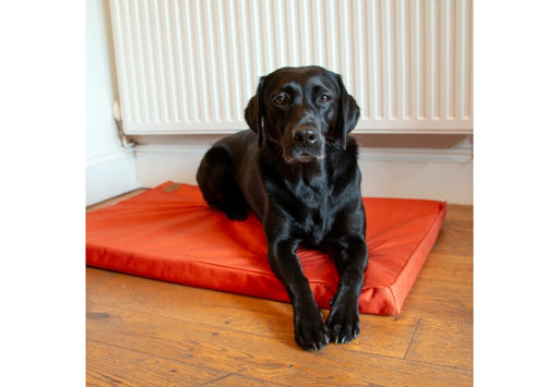 Waterproof Flat Pad Orange